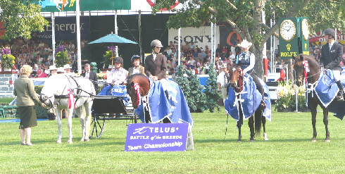 2006 Spruce Meadows Battle Of The Breeds Champions