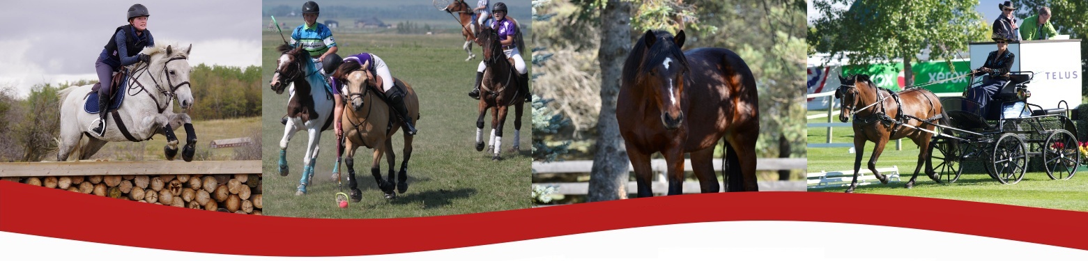 Canadian Connemara Pony Society